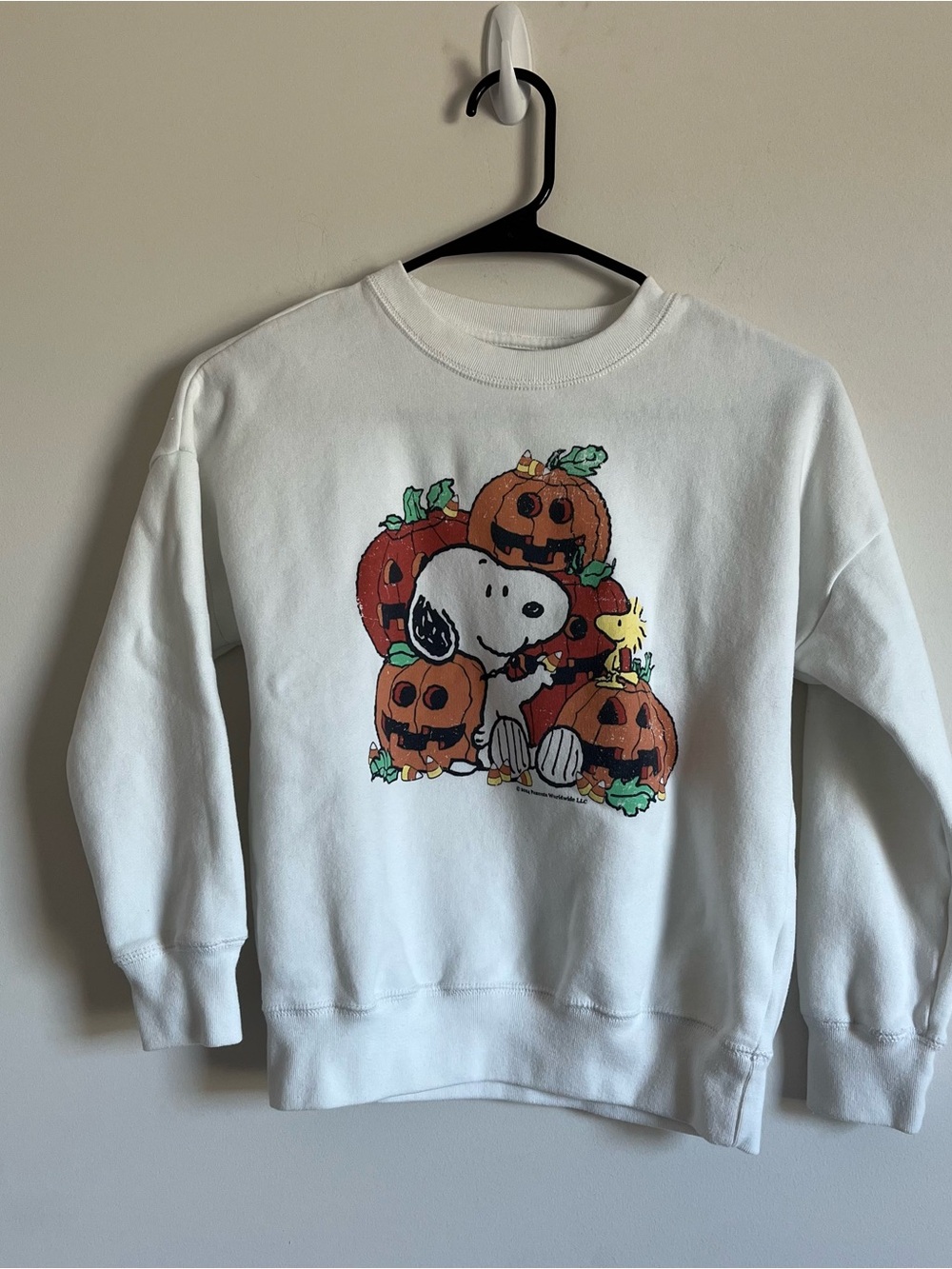 Abercrombie Kids- Peanuts Worldwide Graphic Crewneck - Size 7/8